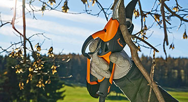 centro-assistenza-pellenc